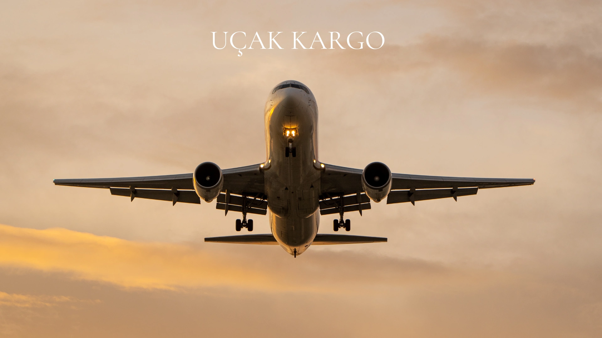 Uçak kargo